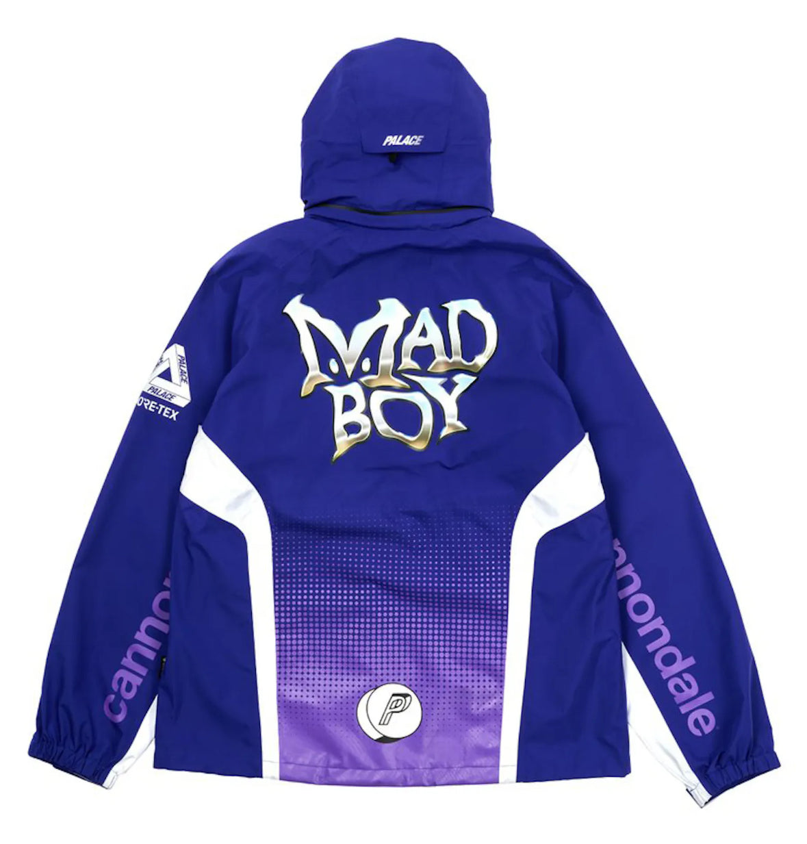 Palace X Cannondale Mad Boy Gore-Tex Paclite Jacket
